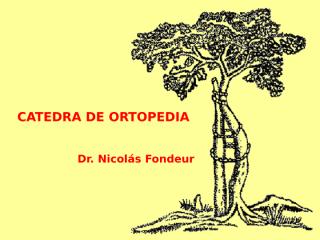 catedra de ortopedia (hombro).ppt