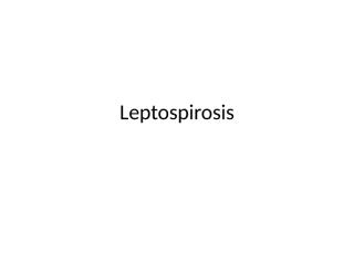 Leptospirosis-Khomimah.pptx