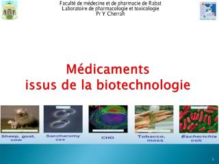 Cours Biotechnologie Pr   Cherrah.pdf